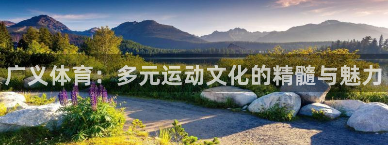 沐鸣24平台：广义体育：多元运动文化的精髓与魅力
