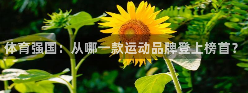 沐鸣2网址注册：体育强国：从哪一款运动品牌登上榜首？