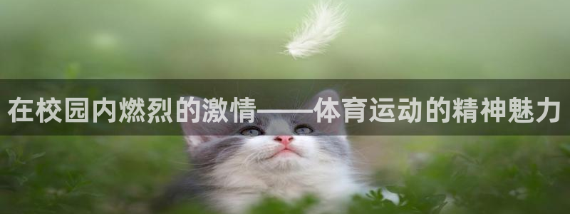 沐鸣24注册：在校园内燃烈的激情——体育运动的精神魅力