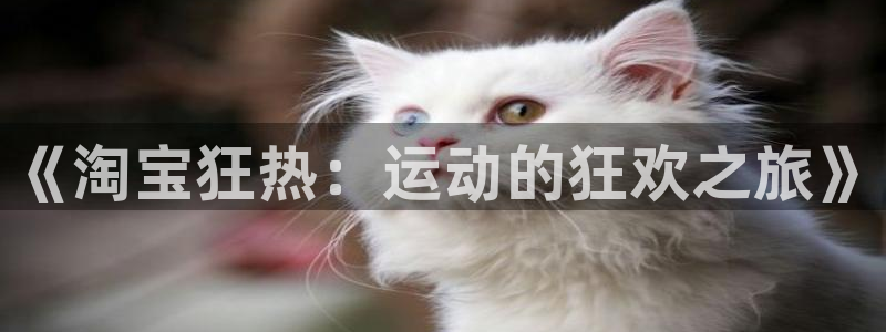 沐鸣2开户：《淘宝狂热：运动的狂欢之旅》