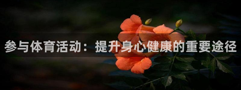 沐鸣2：参与体育活动：提升身心健康的重要途径