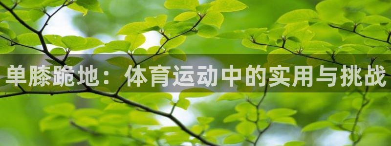 沐鸣平台登录入口：单膝跪地：体育运动中的实用与挑战